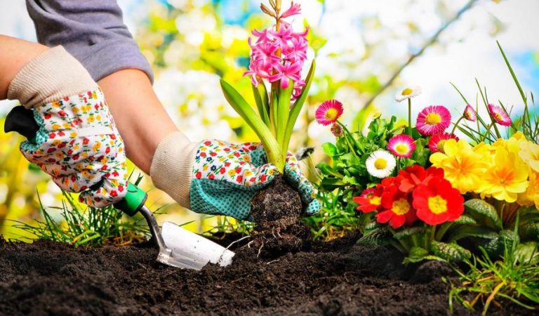 10 συμβουλές κηπουρικής που θα σου σώσουν μια περιουσία! (part 2)