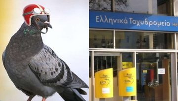 ΕΛΤΑ: Με ταχυδρομικά περιστέρια θα εξυπηρετούνται οι περιοχές που κλείνουν τα καταστήματα