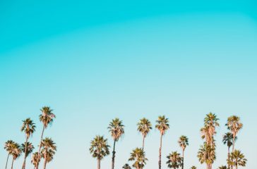 Photo Λήσταρχος Νταβέλλης