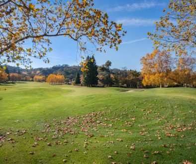 Photo strangest deaths