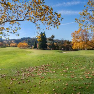 Photo strangest deaths