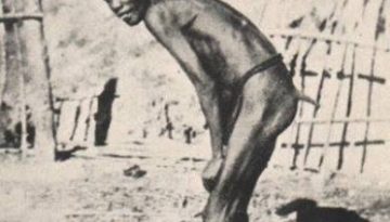 Γιατί οι άνθρωποι δεν έχουμε…ουρά;